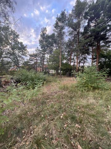 Działka budowlana Warszawa Wesoła, ul. Trakt Brzeski. Zdjęcie 2