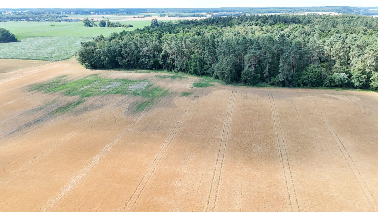 Działka budowlana Nowa Wieś Malborska, nowa wies. Zdjęcie 6