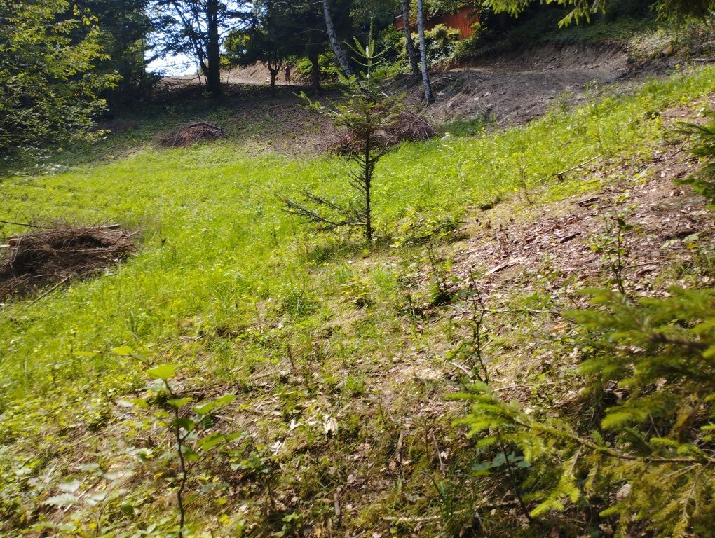 Działka budowlana Sidzina. Zdjęcie 8