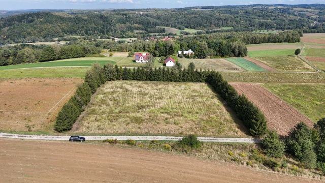 Działka budowlana Błażowa. Zdjęcie 3