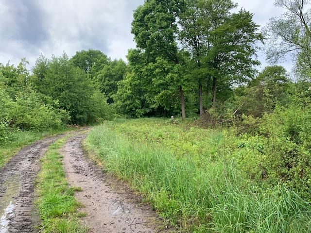 Działka rekreacyjna Zielona Góra Krępa, ul. Krępa-Odrzańska. Zdjęcie 2