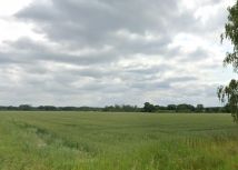 Działka rolna Cieśle. Zdjęcie 3