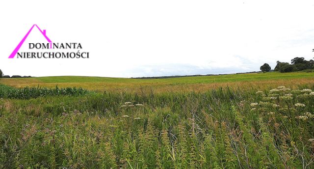 Działka rolna Gronowo. Zdjęcie 3