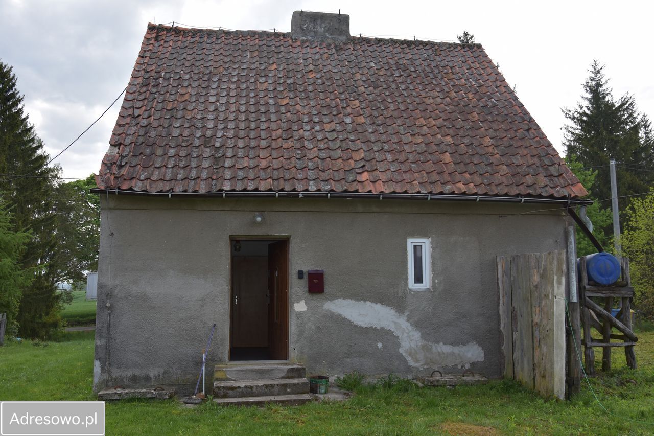 gospodarstwo, 3 pokoje Dąbie. Zdjęcie 3
