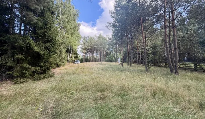 Działka rekreacyjna Borowy Młyn