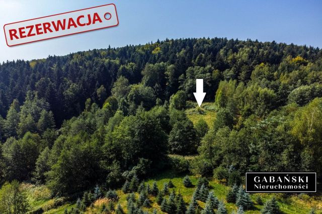 Działka budowlana Słona. Zdjęcie 4