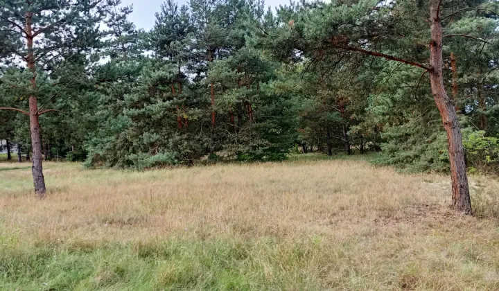 Działka rolna Świbinki