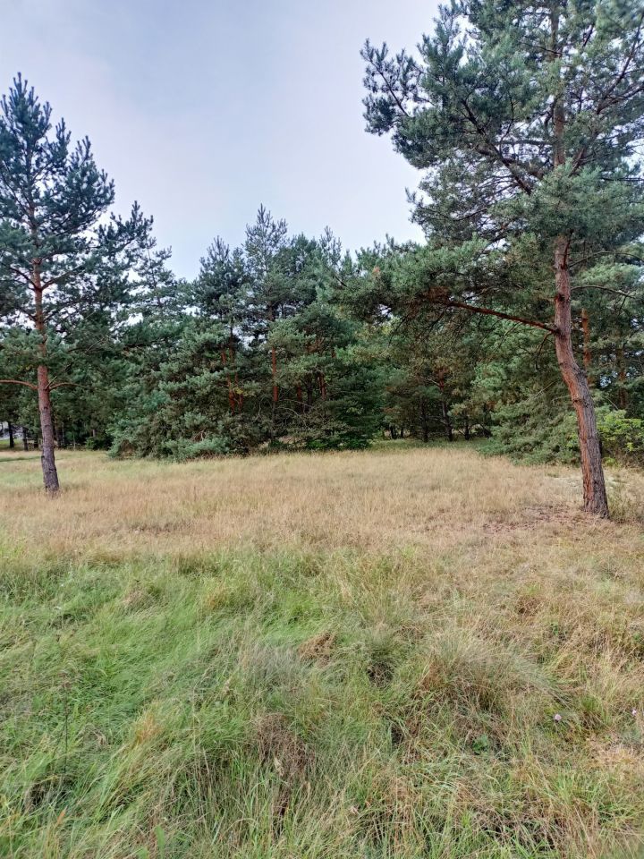 Działka rolna Świbinki