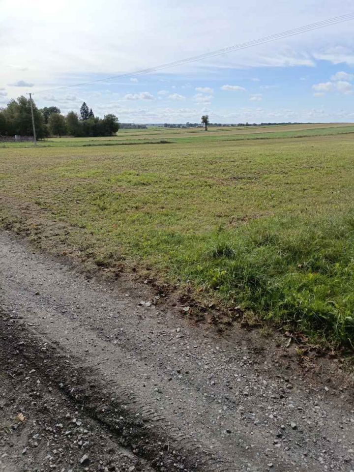 Działka budowlana Wierciszów. Zdjęcie 6