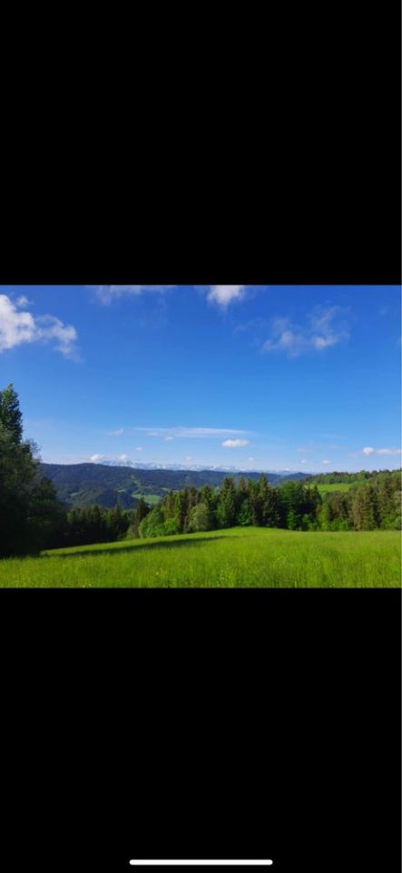 Działka rolna Ochotnica Górna. Zdjęcie 7