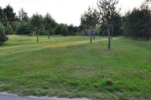 Działka budowlana Słopiec Rządowy-Kolonia. Zdjęcie 1