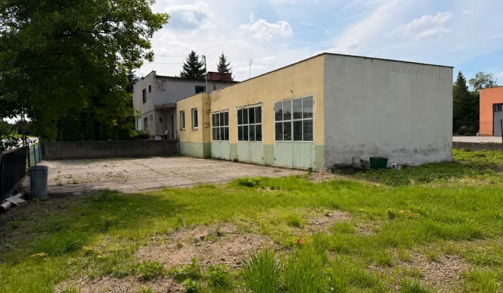 gospodarstwo, 7 pokoi Nowe, ul. Leśna