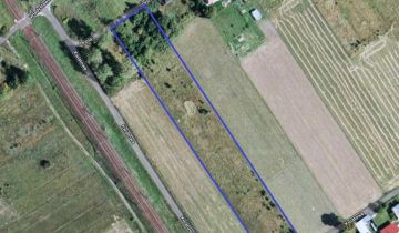 Działka rolno-budowlana Cekanów
