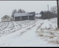 Działka rolno-budowlana Steniatyn. Zdjęcie 1