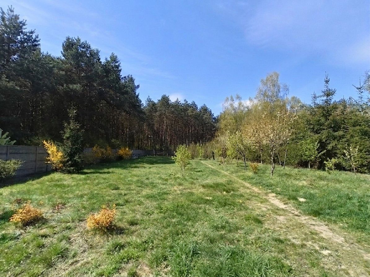 Działka inwestycyjna Kolonia Karczmy, ul. Leśna. Zdjęcie 3