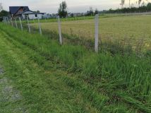 Działka siedliskowa Witoldów. Zdjęcie 2