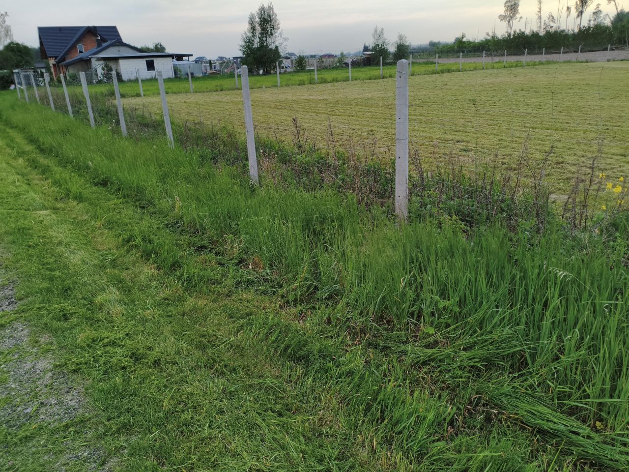 Działka siedliskowa Witoldów. Zdjęcie 3