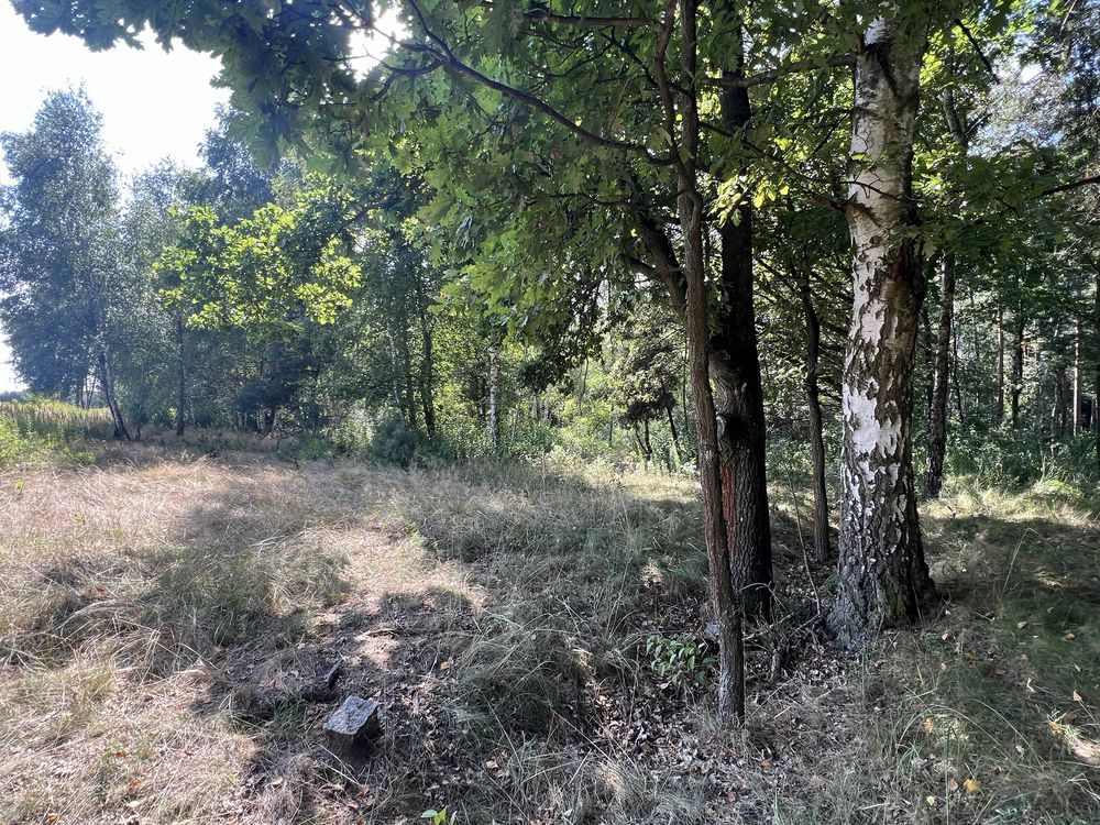 Działka rolna Konradów. Zdjęcie 5