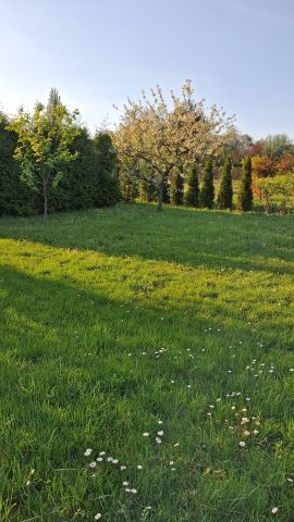 Działka rekreacyjna Sosnowiec Środula, ul. Kombajnistów. Zdjęcie 1
