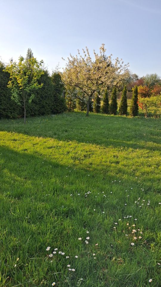 Działka rekreacyjna Sosnowiec Środula, ul. Kombajnistów