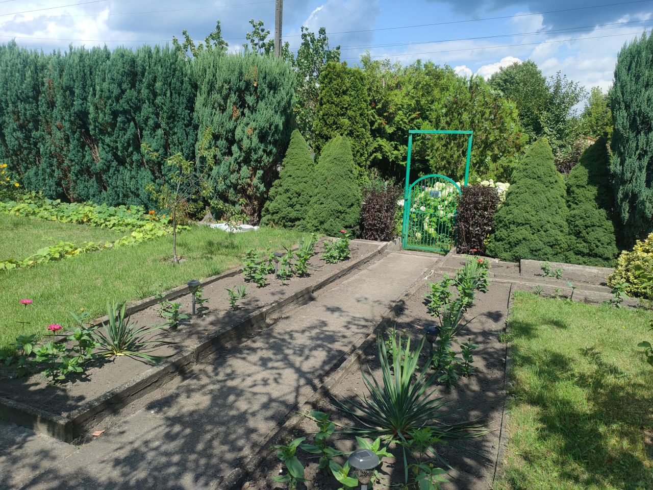 Działka rod Bydgoszcz, ul. Toruńska. Zdjęcie 3