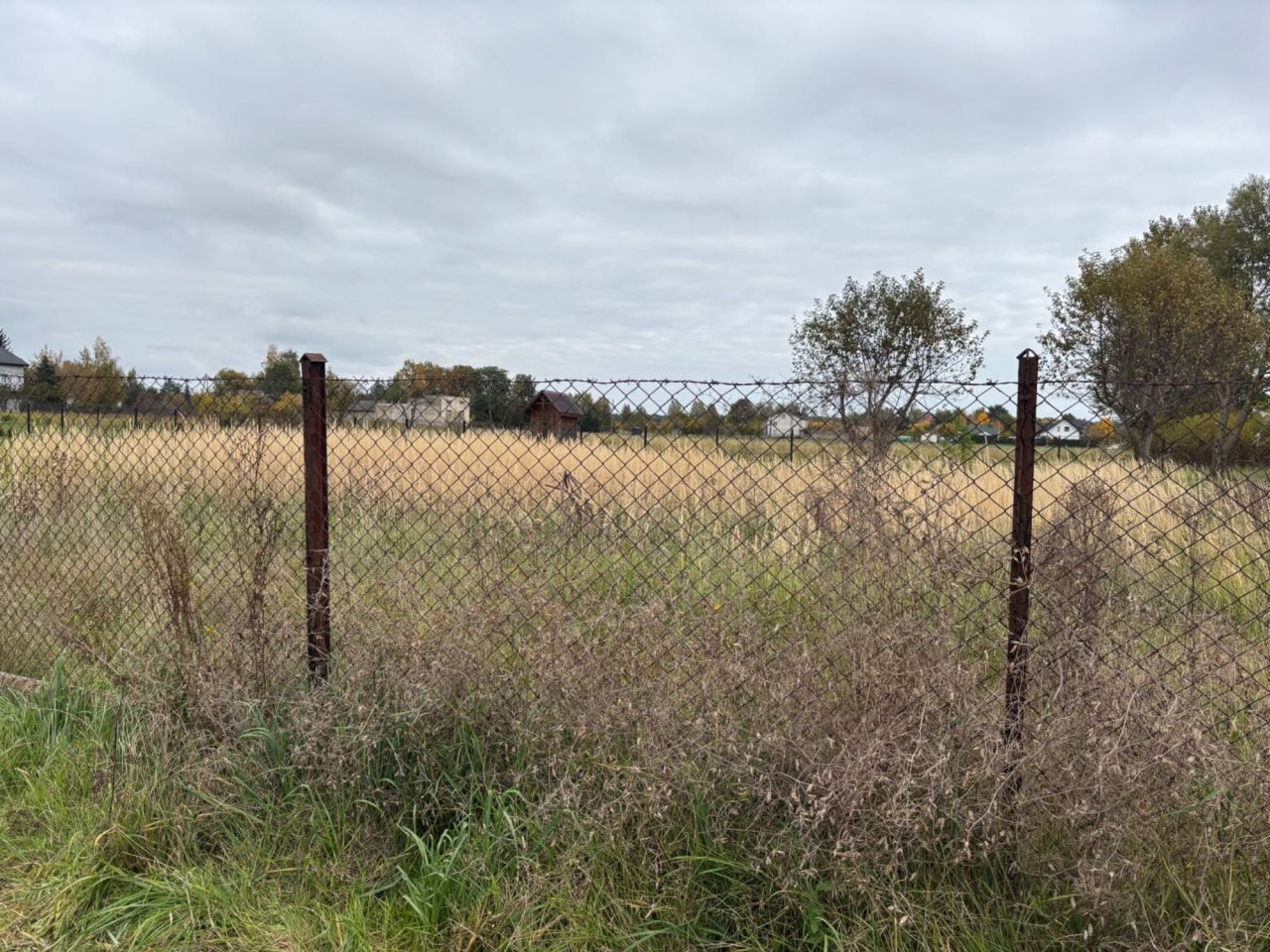 Działka rolno-budowlana Milejowice, ul. Brzozowa