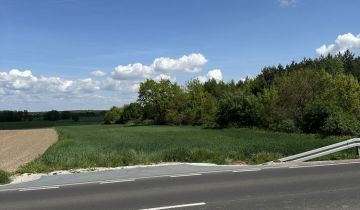 Działka rolno-budowlana Poniec