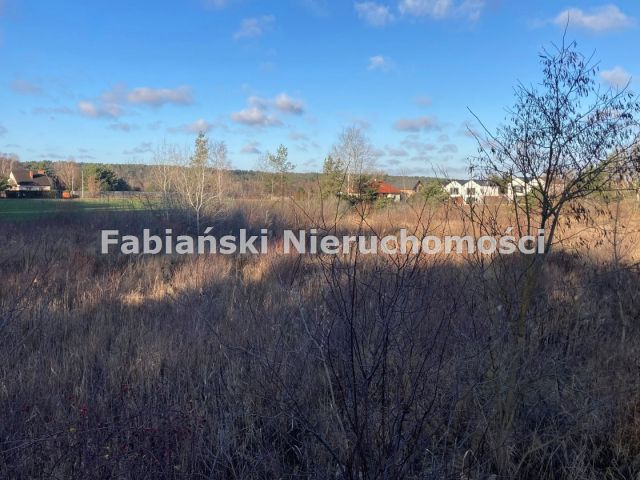 Działka inwestycyjna Bolechowo. Zdjęcie 3