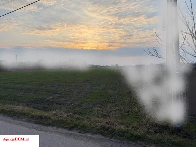 Działka rolna Żaby. Zdjęcie 3