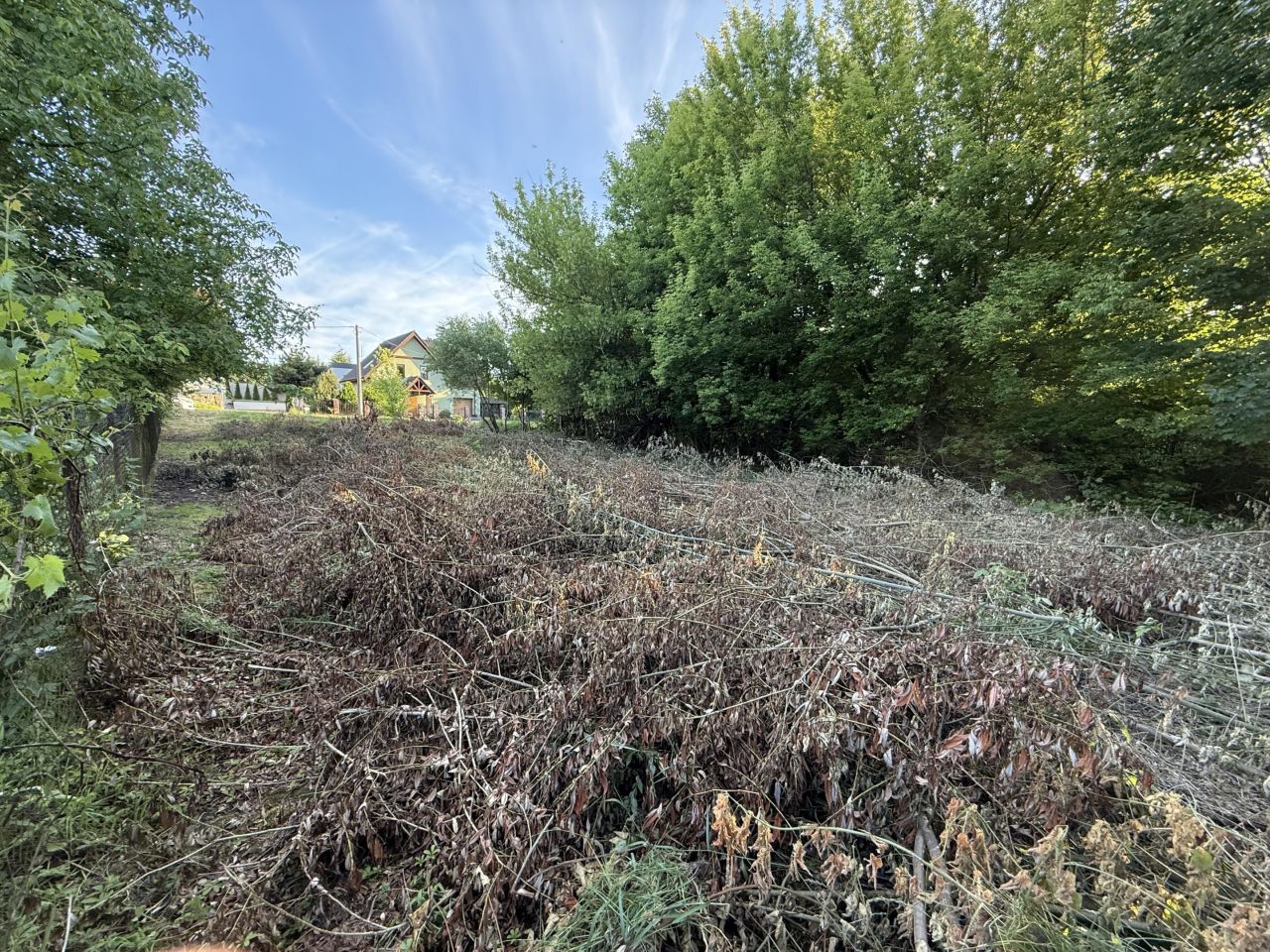 Działka rolna Żnin, ul. Świerkowa. Zdjęcie 6