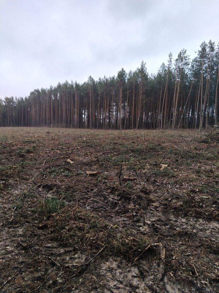 Działka rolna Arbasy Duże. Zdjęcie 6