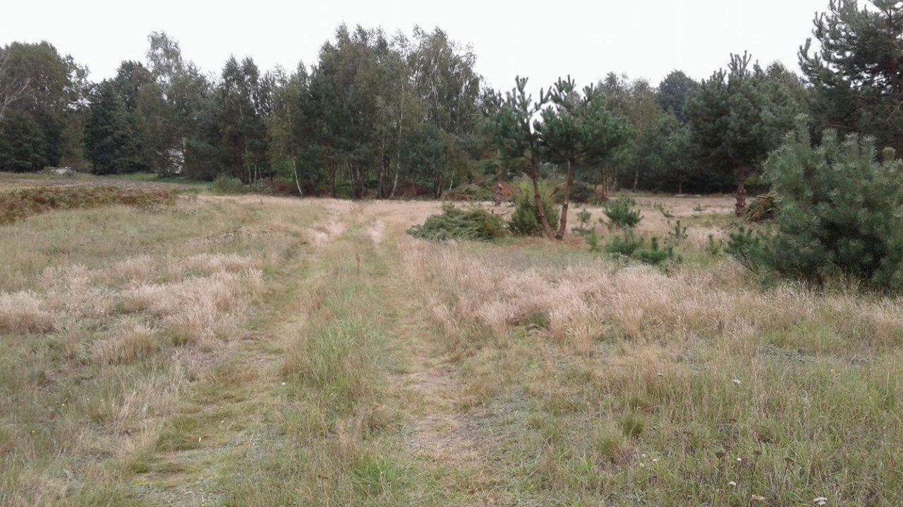 Działka budowlana Nowodzielnik. Zdjęcie 2