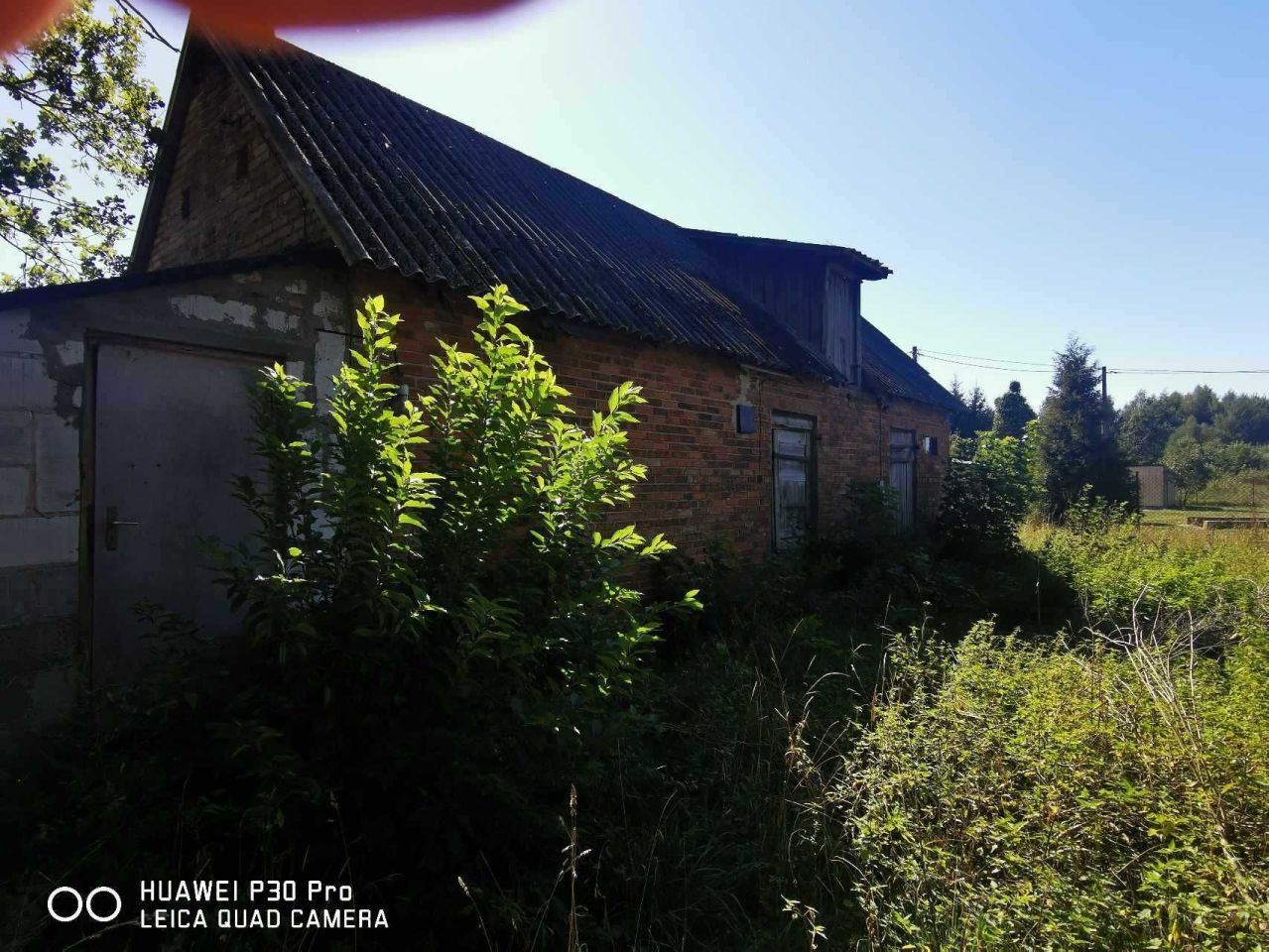 Działka siedliskowa Sierzchów. Zdjęcie 6
