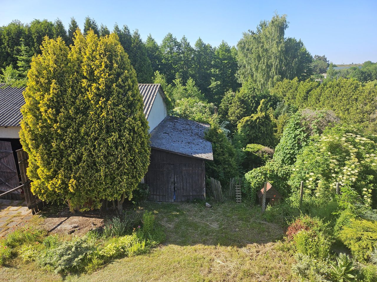 dom wolnostojący, 4 pokoje Babsk, ul. Kwiatowa. Zdjęcie 7