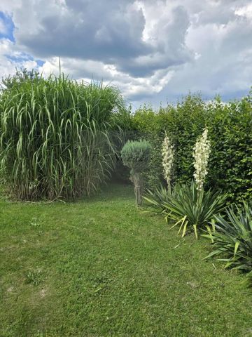 dom wolnostojący Krasice. Zdjęcie 3