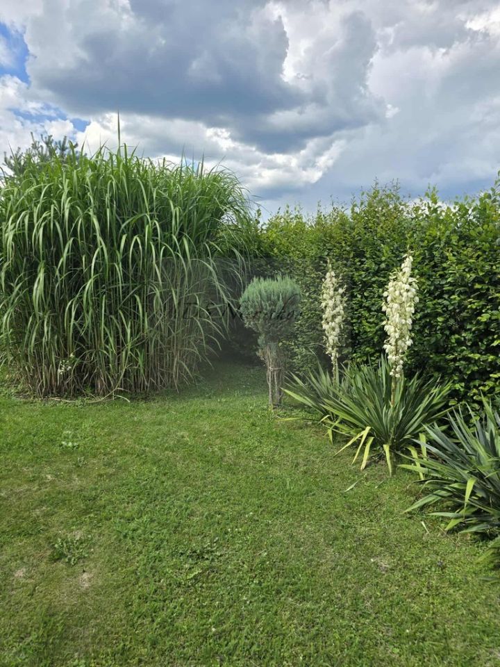 dom wolnostojący Krasice. Zdjęcie 3