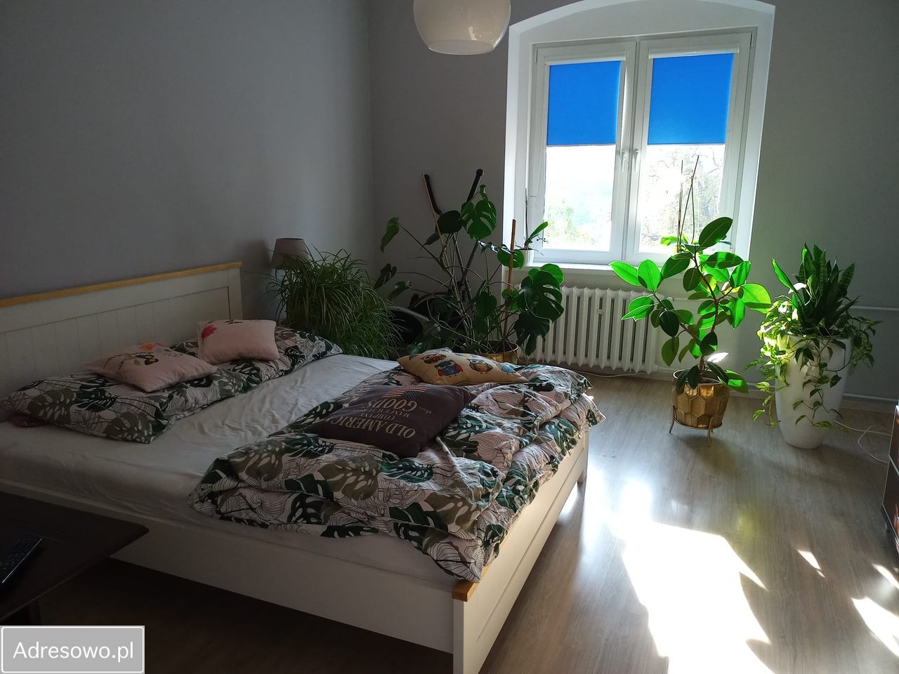 Mieszkanie 2-pokojowe Świdnica. Zdjęcie 5