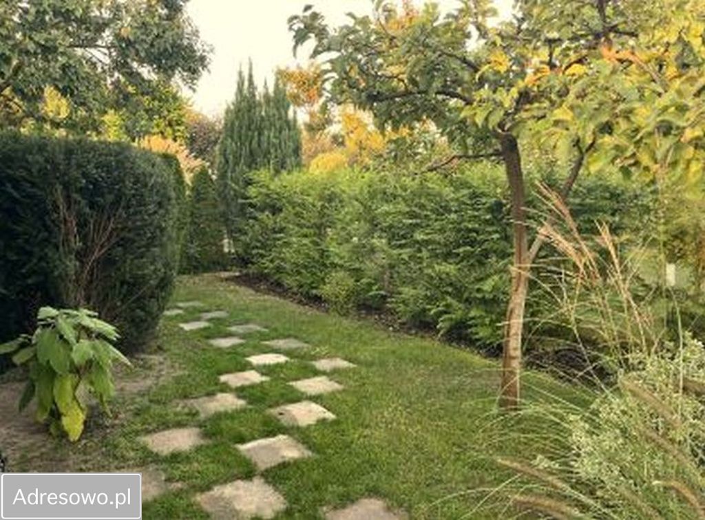 Działka rod Poznań Grunwald, ul. Bukowska. Zdjęcie 5