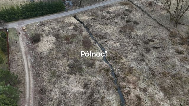 Działka rolna Rogojny. Zdjęcie 11