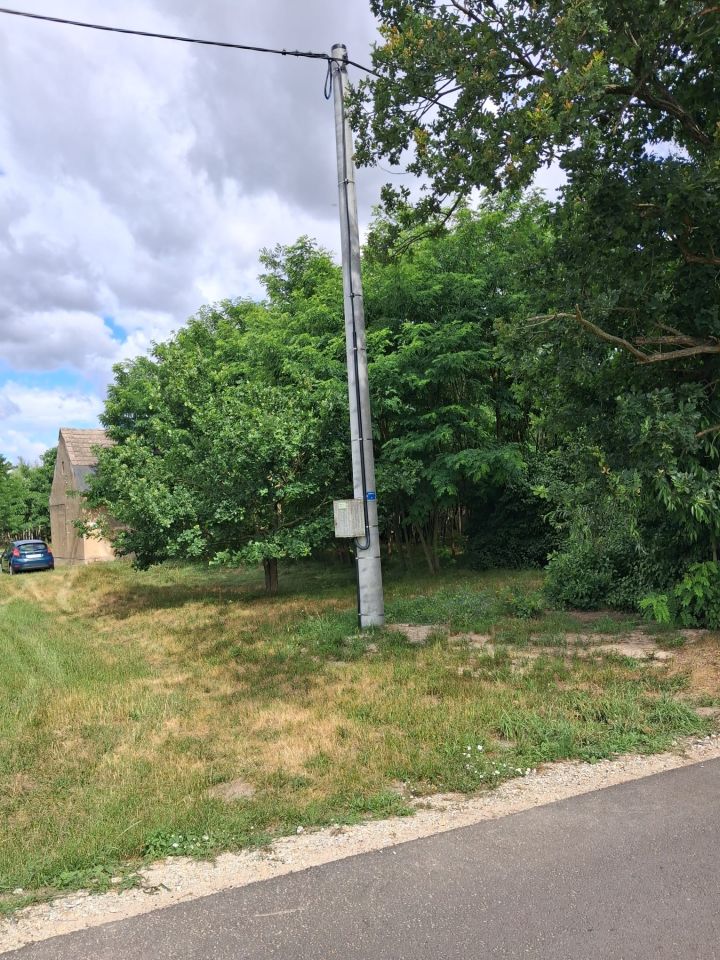 Działka siedliskowa Stara Olszyna. Zdjęcie 2