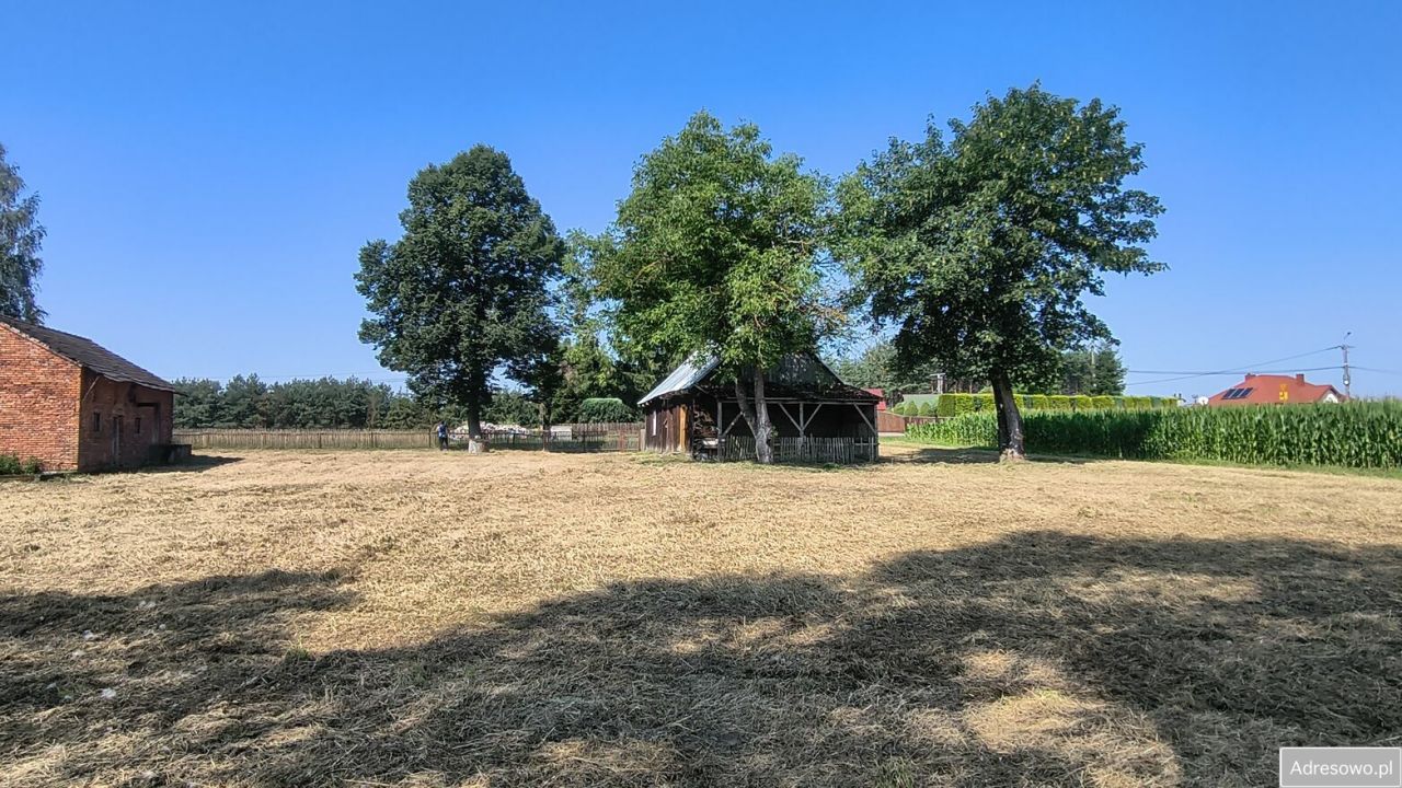 Działka rolno-budowlana Dąbrówka Osuchowska. Zdjęcie 10