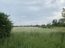 Działka rolno-budowlana Szczawin Borowy-Wieś. Zdjęcie 1