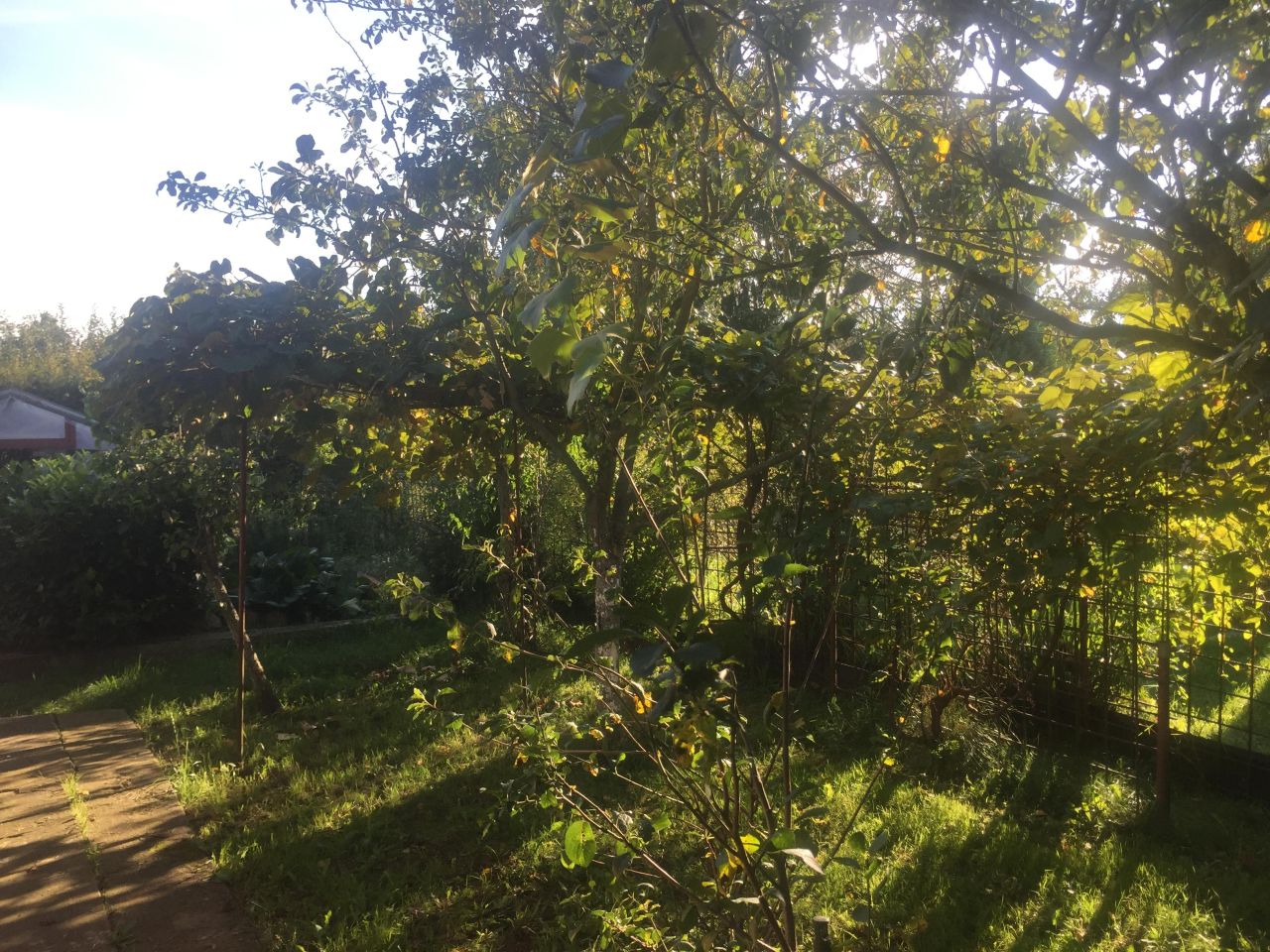 Działka rod Wrocław Osobowice, ul. Krotoszyńska. Zdjęcie 15