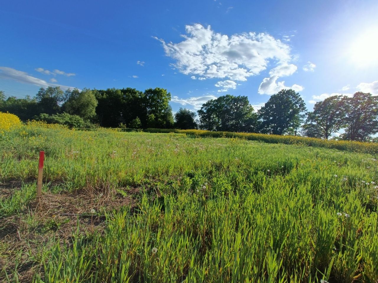 Działka budowlana Świdry. Zdjęcie 3