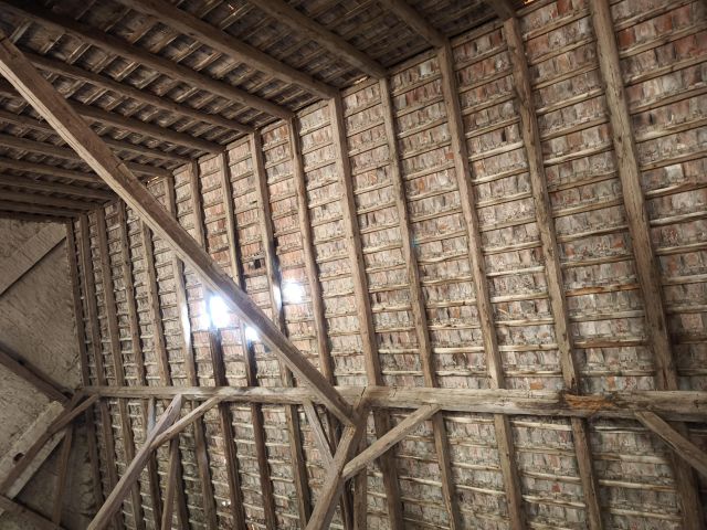 Działka rolno-budowlana Białowieża Siodłary. Zdjęcie 10