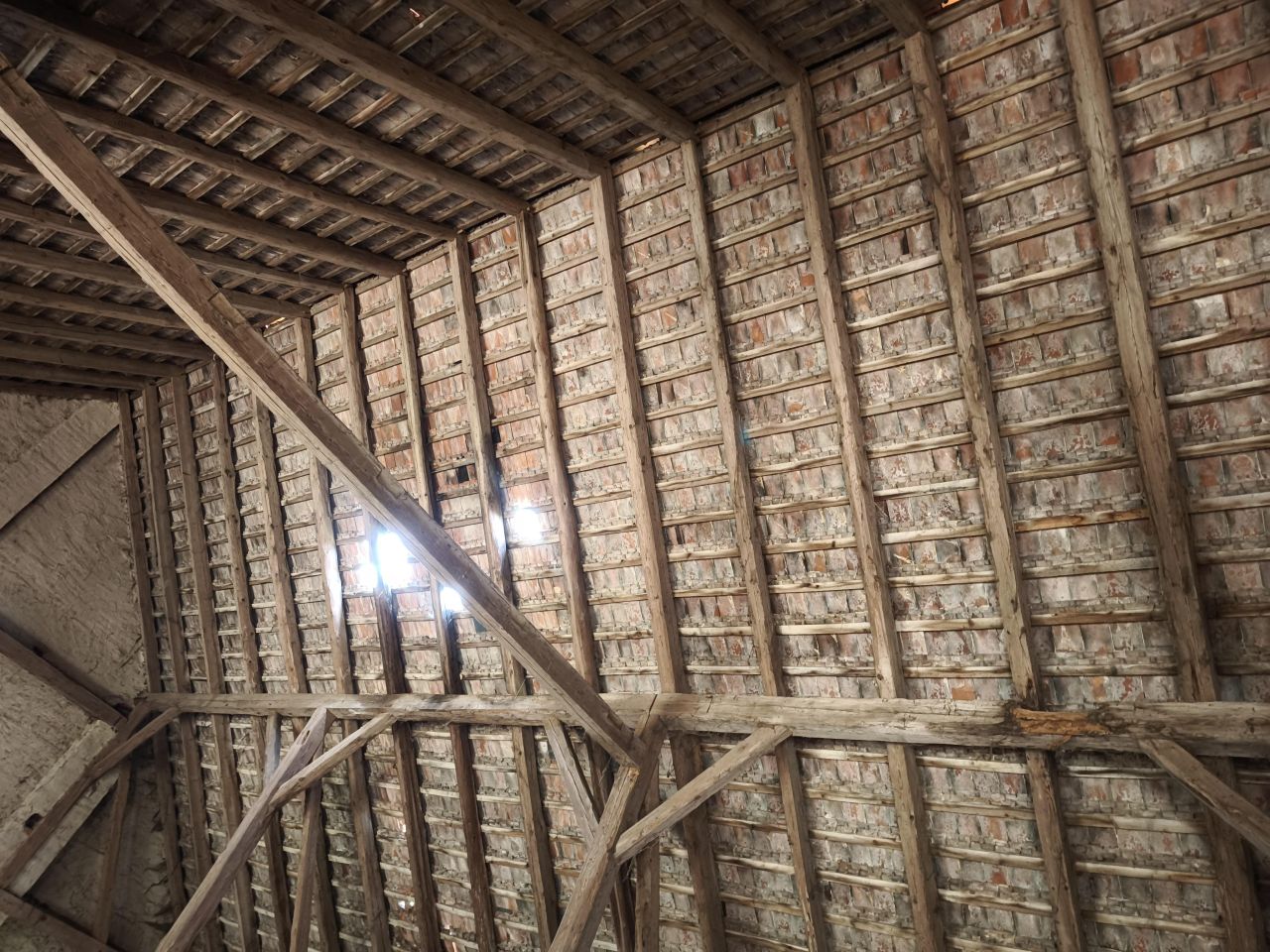 Działka rolno-budowlana Białowieża Siodłary. Zdjęcie 13