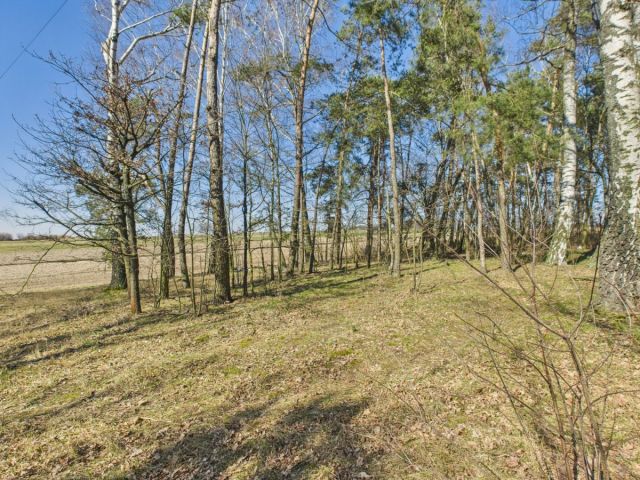 dom wolnostojący, 4 pokoje Kalinko. Zdjęcie 24