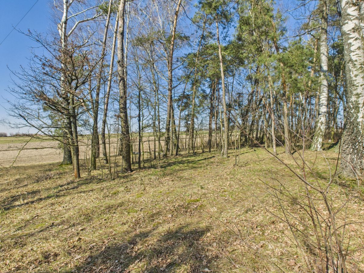 dom wolnostojący, 4 pokoje Kalinko. Zdjęcie 24