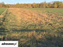 Działka rolno-budowlana Czeczotki, ul. Słoneczna. Zdjęcie 1