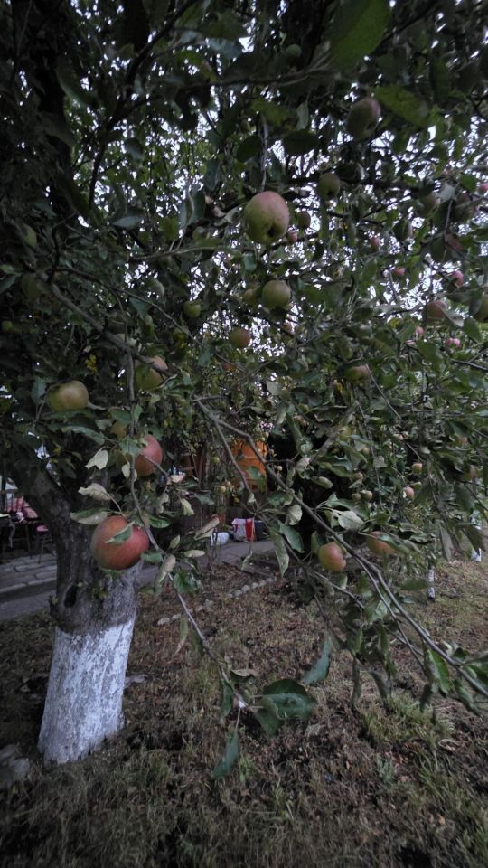 Działka rod Opole Zaodrze. Zdjęcie 3
